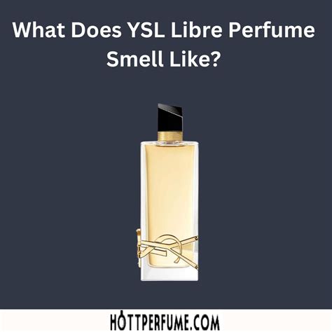 libre ysl what does it smell like|what does YSL smell like.